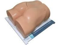 Тренажер для отработки навыков костной биопсии