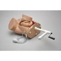 310_1013558 Акушерский Susie 1