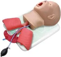 310_МУ0388_Фантом_головы_ребенка