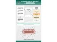 310_МУ0239_Основные_свойства_антигенов