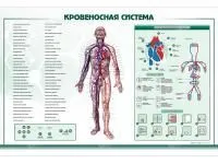 310_Интерактивный_светодинамический_стенд