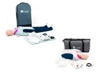 Оживленная Анна тренажер для сердечно-легочный реанимации