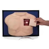 310_1005563 Модель класса «люкс» для венозного доступа 4