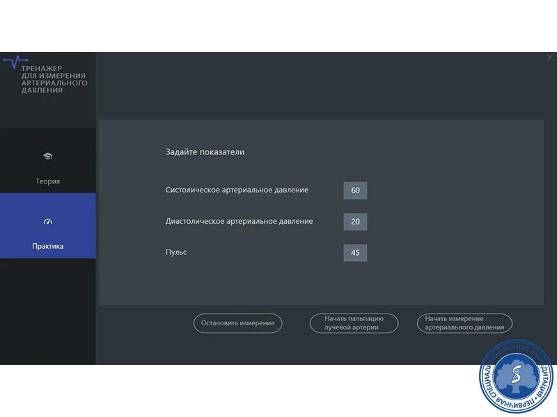 Тренажер для измерения артериального давления механическим тонометром — купить в МЕДСЕТ