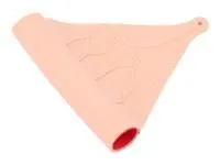 310_МУ0630_Фрагмент_кишечника