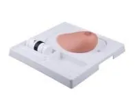 310_1019635 Тренажер ультразвукового исследования SONOtrain 7