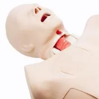 310_1020959 Реанимационный тренажер Truman Trauma 1