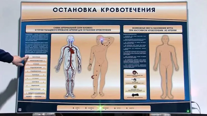 Электрифицированный стенд-тренажер "Остановка кровотечения" — купить в МЕДСЕТ