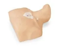 310_1017947 Тренажер 1