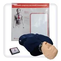 Тренажер для отработки навыков СЛР с компьютерной регистрацией показателей «Володя-06»