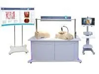 Лабораторно-диагностический учебный комплекс «Хирургический доступ к органам брюшной полости»