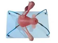 310_МУ0394_Пособие_матка_с_паталогиями