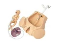 Симулятор для отработки акушерских навыков с ручным позиционированием плода с дополнительными возможностями