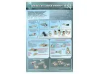 310_Иммунная_система_человека