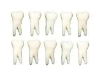310_МУ0140_Комплект_10_модельных_зубов