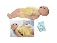 310_1005159 Тренажер клинического обследования 1