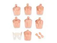 Тренажер для клинического обследования мужских гениталий ГОГА