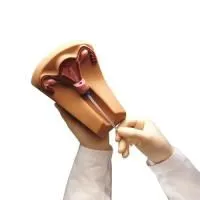 310_1005825 Тренажер введения 1