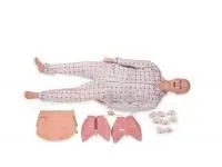 Манекен-симулятор для отработки навыков пунктирования костного мозга и сестринского ухода