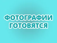 Учебно-демонстрационный комплект «Кости. Механические повреждения»