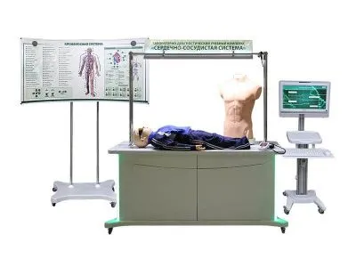 Лабораторно-диагностический учебный комплекс «Сердечно-сосудистая система»