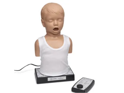 Тренажер для обучения аускультации сердца и легких