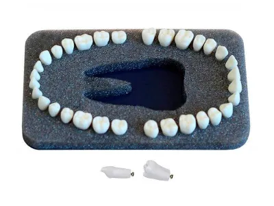 Комплект из 32 модельных зубов З-32