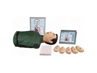 Т2 Максим III манекен-торс СЛР с настенным табло и контроллером