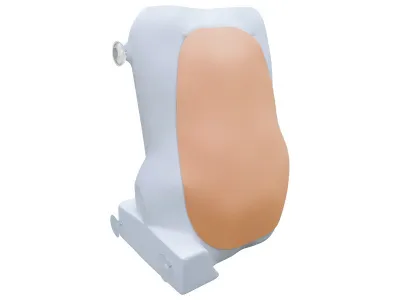 Тренажёр для отработки навыков спинальных инъекций