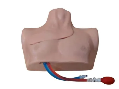 Тренажер катетеризации подключичной вены под контролем УЗИ