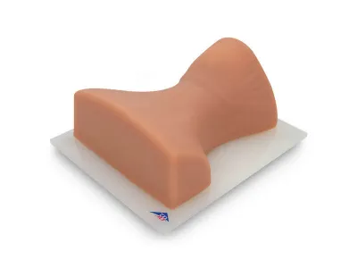 Тренажер инъекций шейного отдела позвоночника P67