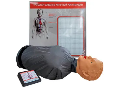 Тренажер-манекен для отработки СЛР с контроллером и настенным табло «Роман-05»