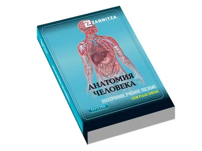 Электронное учебное пособие "Анатомия человека"