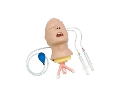 Модель головы для отработки навыков интубирования (только голова)