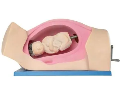 Тренажер для демонстрации процесса родов