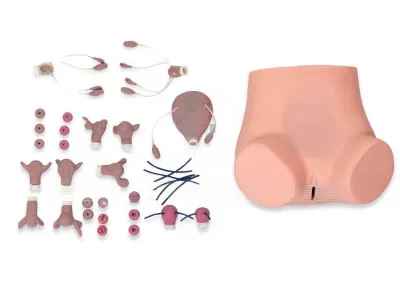 КОЛЬПО-СИМ Тренажер-симулятор для отработки навыков гинекологических обследований и кольпоскопии