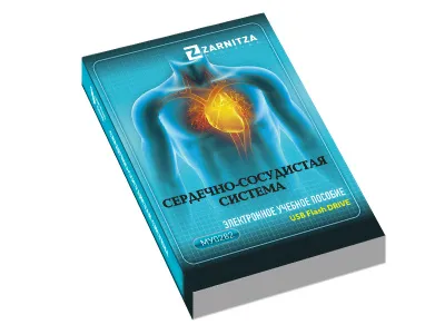 Электронное учебное пособие "Сердечно-сосудистая система"
