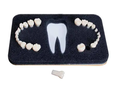 Комплект сменных зубов З-24