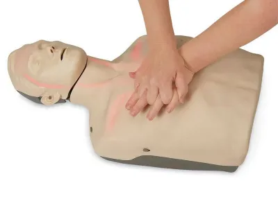 Тренажер-манекен Brayden для базовой СЛР со световыми индикаторами и ПО