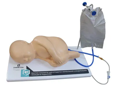 Фантом симулятор для отработки люмбальной и эпидуральной пункции в педиатрии