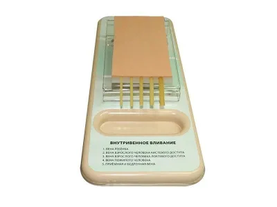 Тренажер для отработки навыков внутривенных инъекций ТВИ-1.01