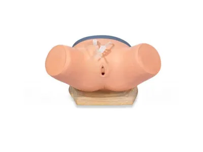 Тренажер для демонстрации навыков катетеризации уретры у женщин