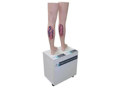 Модели нижних конечностей взрослого человека, для демонстрации варикозного заболевания вен