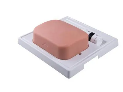 Модель желчного пузыря для ультразвукового исследования Gallbladder