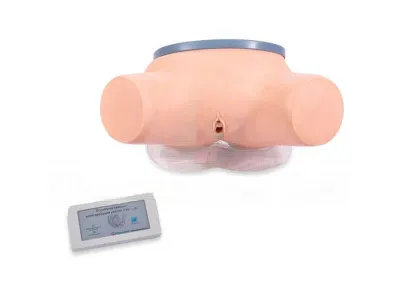 Тренажер для отработки навыков катетеризации мочевого пузыря КАТ-ПРОФИ женский с электронным контроллером