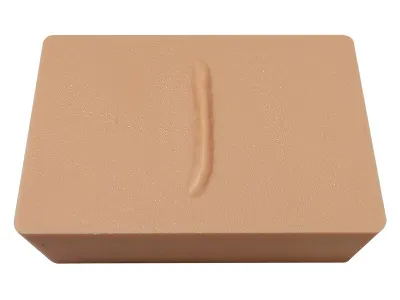 Модель участка кожи с рубцом