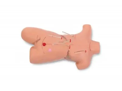 Тренажер наложения швов и повязок