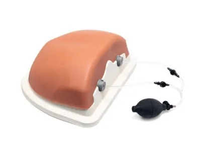 Тренажер инъекций грудного отдела позвоночника P66