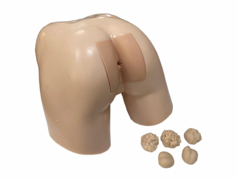 Тренажер для освоения навыков ректального обследования предстательной железы — купить в МЕДСЕТ