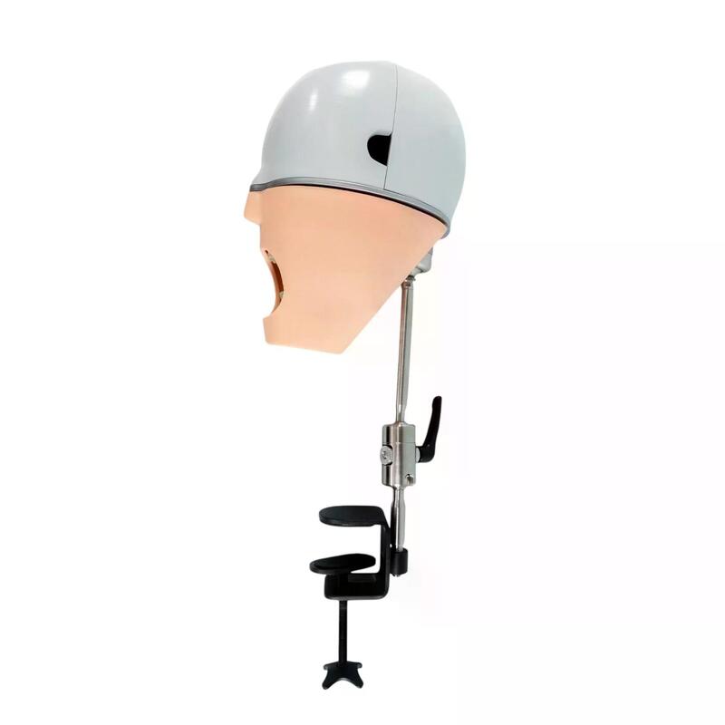 Учебный стоматологический фантом c креплением к столу — купить в МЕДСЕТ